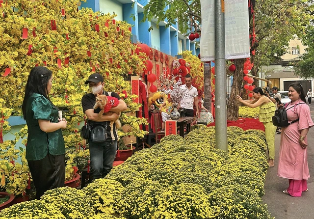 Đặt vé xe Tết 2027